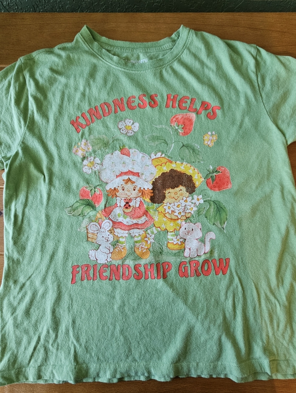Junior Girls Strawberry Shortcake and Friends T Shirt Size Medium
